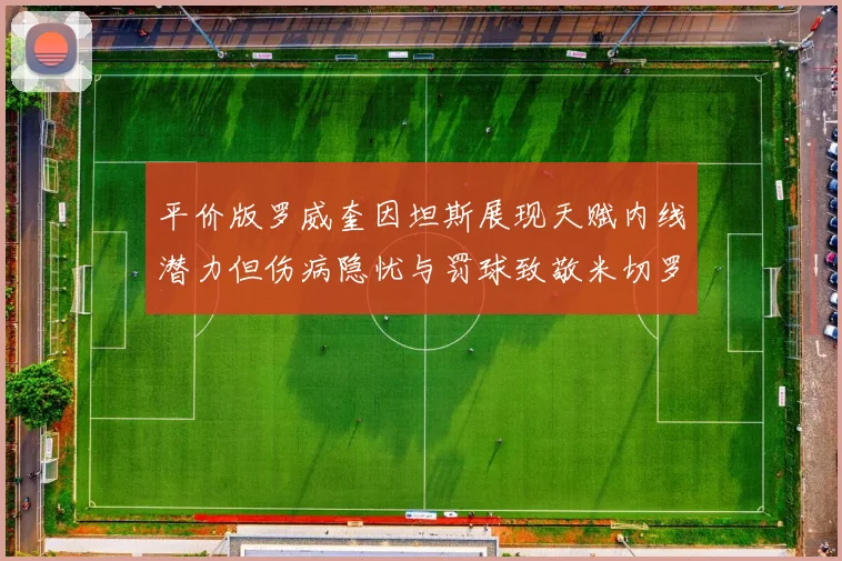 平价版罗威奎因坦斯展现天赋内线潜力但伤病隐忧与罚球致敬米切罗