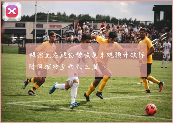 佩德里右腿伤势恢复乐观预计缺阵时间缩短至两到三周