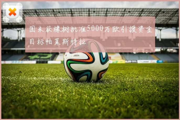 国米获橡树批准5000万欧引援资金目标帕莱斯特拉