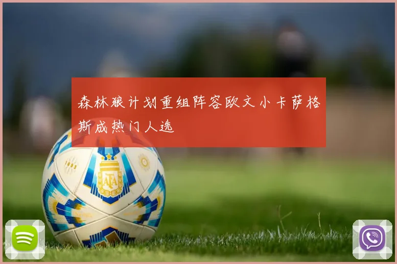 森林狼计划重组阵容欧文小卡萨格斯成热门人选